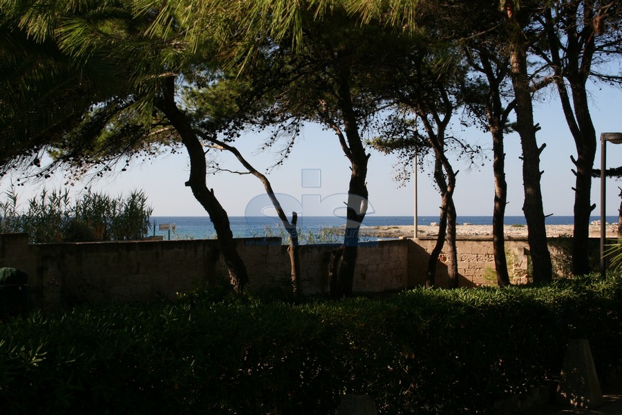 Luxury seafront villa for sale in Italy: garden view